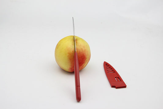 Cuchillo para Fruta de Acero Inoxidable | Portátil y Multiusos con Funda - Image 2
