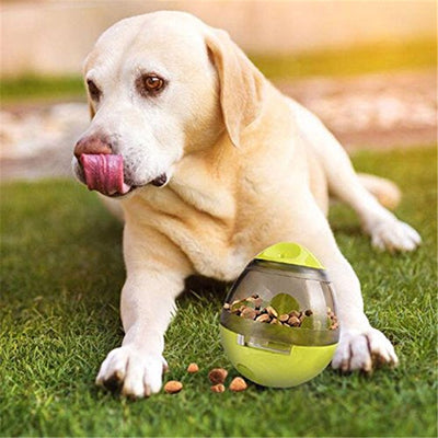 Comedero Antiderrame para Perros - Image 13