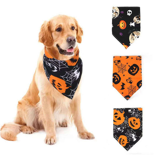 Pañoleta de Calavera para Perros y Gatos - Disfraz Halloween Triangular - Image 7