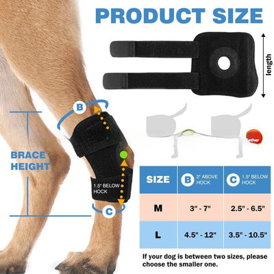 Protector de Articulaciones para Perros y Gatos - Rodillera de Rehabilitación para Lesiones ACL - Image 3