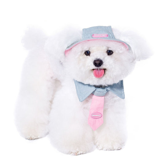 Toalla Absorbente para Perros Pequeños - Yorkshire, Bichón y Razas Toy - Image 11
