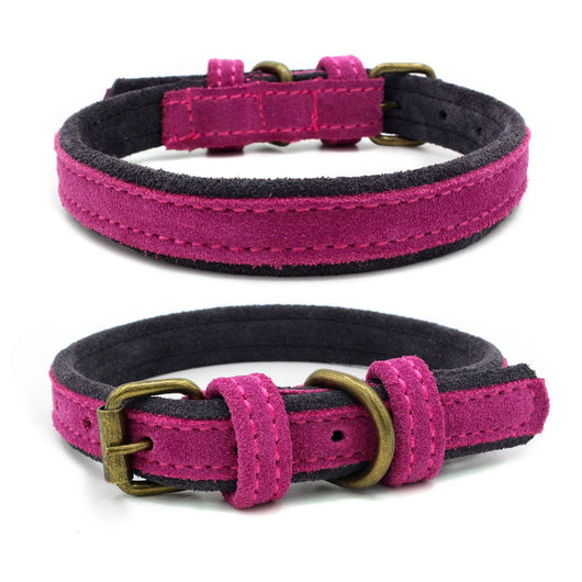 Collar para Mascota de Cuero Nobuk con Doble Contraste de Color - Image 3