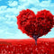 Árbol del Corazón Amoroso Rojo