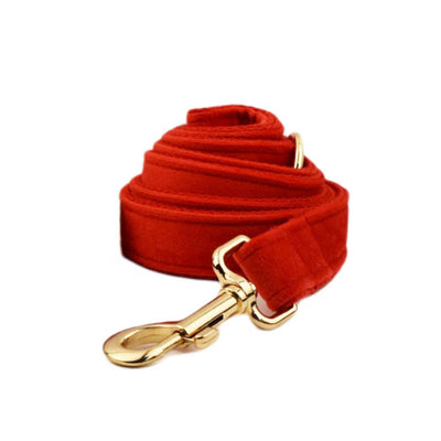 Collar para Perro de Terciopelo Suave - Image 9