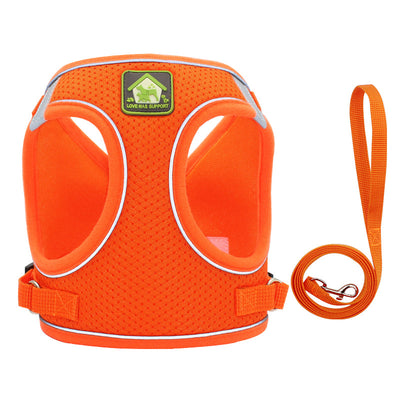 Correa Ajustable para Gatos con Arnés de Seguridad - Image 7