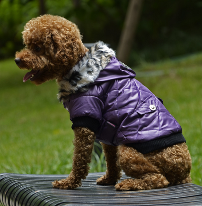 Abrigo para Perros Otoño-Invierno con Cuello de Piel - Ropa Térmica Importada - Image 3