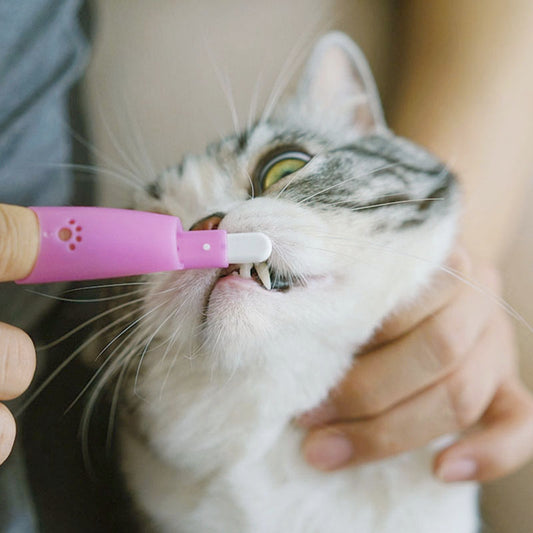 Cepillo de Dientes de Dedo para Gatos - Image 2