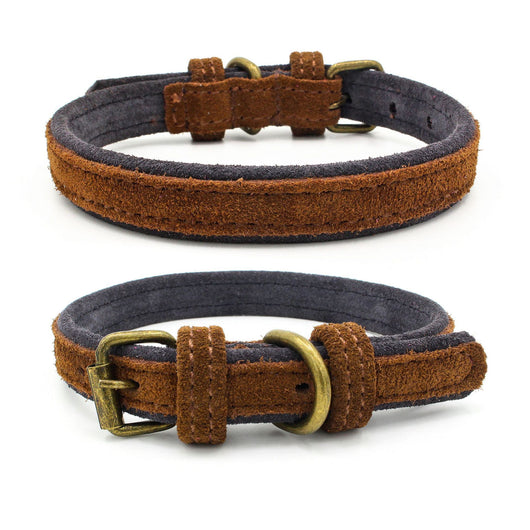 Collar para Mascota de Cuero Nobuk con Doble Contraste de Color - Image 5