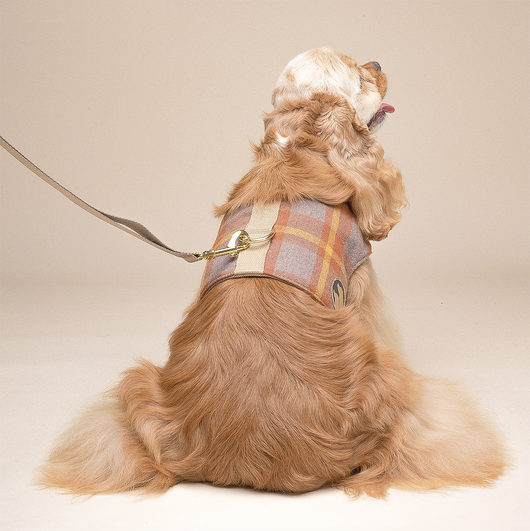 Arnés Chaleco para Perros Pequeños con Correa Integrada - Image 9