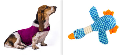 Chaleco Calmante para Mascotas - Ropa Terapéutica Antiansidad para Gatos y Perros - Image 6