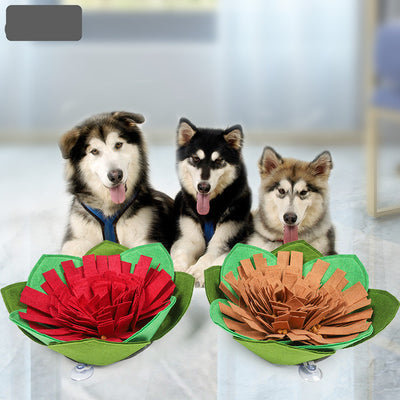 Manta Térmica para Control de Peso en Perros