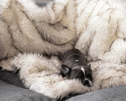 Cama Térmica Impermeable para Perros con Pelaje Suave Fox Fur - Image 2