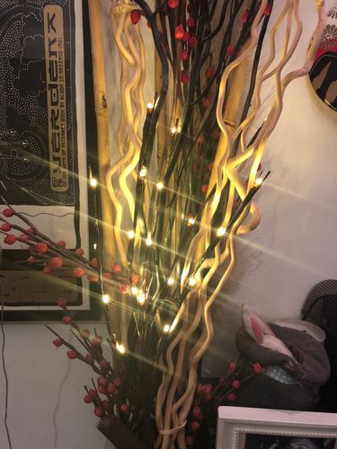 Luces Decorativas de Ramas con 20 LEDs para Interiores - Image 8