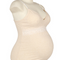 Apricot L
