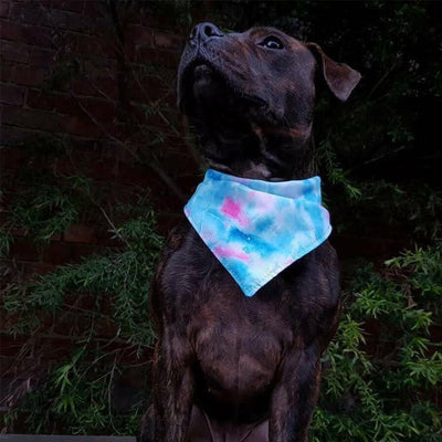 Pañuelo Doble Estampado para Mascotas - Image 3