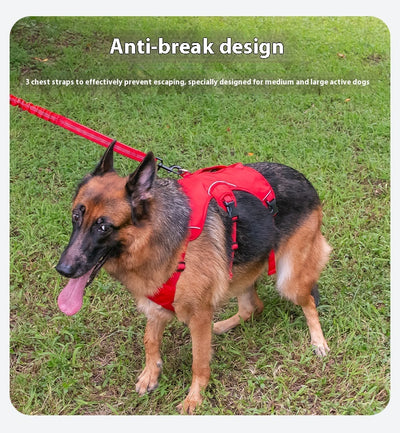 Orange dog harness with reflective trim, black buckles, and a top handle, designed for large dogs. - Image 20