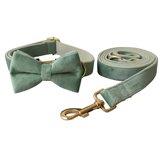 Collar y Correa para Perro Verde Menta - Image 4