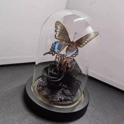 Cinturón Verde con Especímenes de Mariposas Reales en Vitrina de Cristal - Image 10