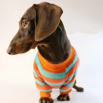 Sudadera Casual para Perros y Gatos - Image 3