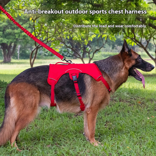 Orange dog harness with reflective trim, black buckles, and a top handle, designed for large dogs.
