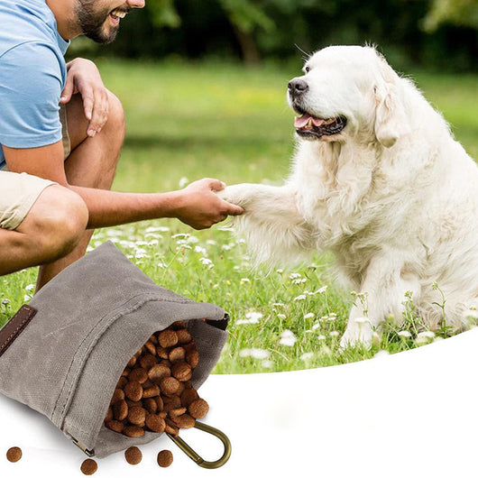 Bolsa Portátil para Snacks de Perro - Diseño Moderno para Entrenamientos - Image 6