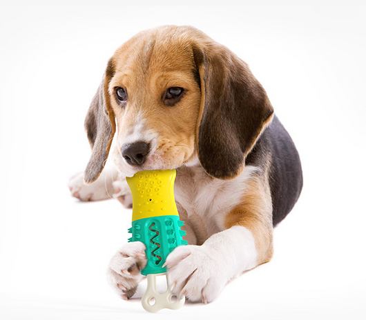Juguete Refrescante y Limpiador Dental para Mascotas - Image 14