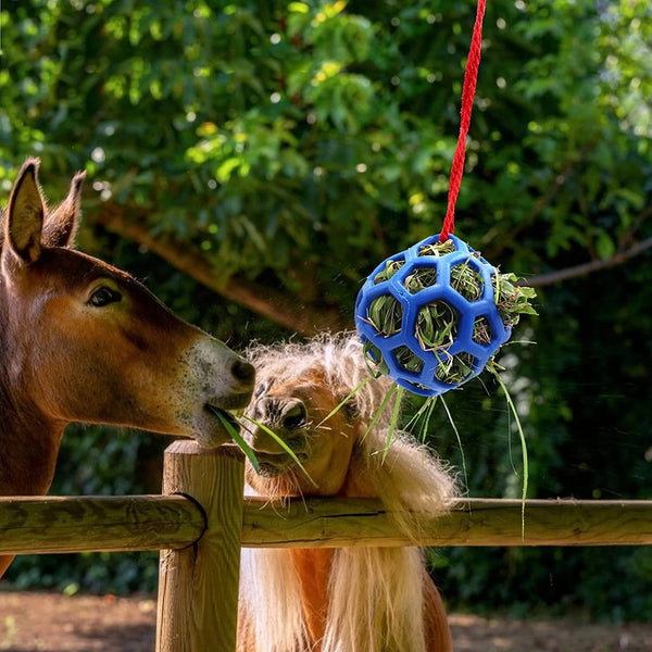 Comedero Colgante Estable con Pelota Juguete para Caballos