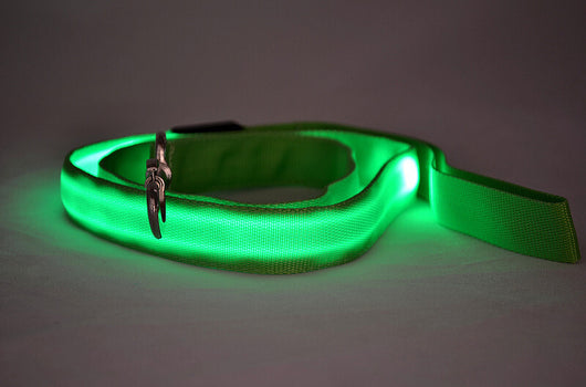 Correa LED Luminosa para Perros - Paseos Seguros de Noche - Image 8