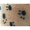 Beige Bottom Negro PAW 60x70 Cm