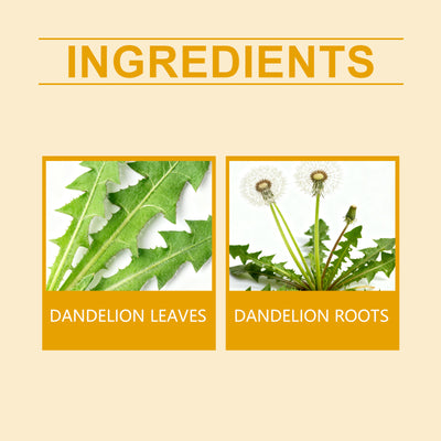 Té Depurativo de Diente de León - Raíz y Hoja - Image 9