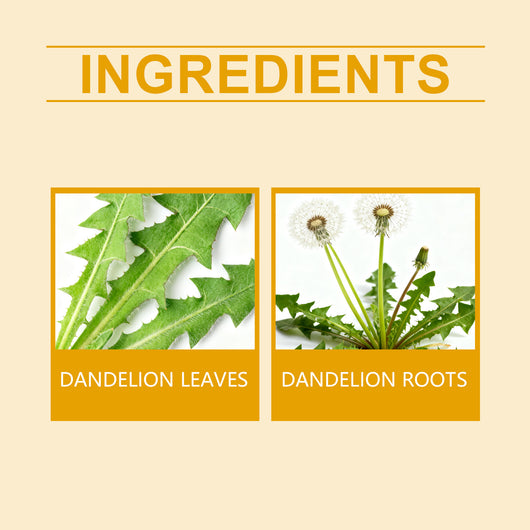 Té Depurativo de Diente de León - Raíz y Hoja - Image 9