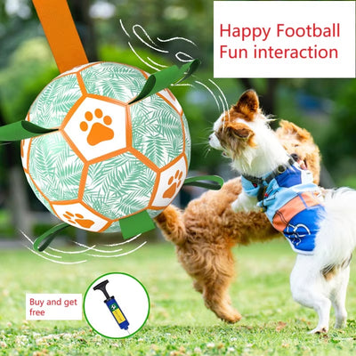 Interactive pet football toy with green palm leaves, orange paw prints, grab tabs, and a ball pump. - Image 13