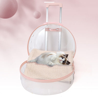 Mochila Transportadora Transparente para Gatos y Mascotas Pequeñas - Image 3