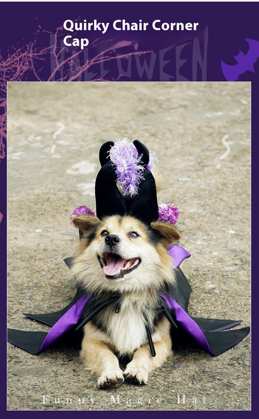 Disfraz de Demonio para Mascotas - Capa y Cuernos Halloween - Image 11