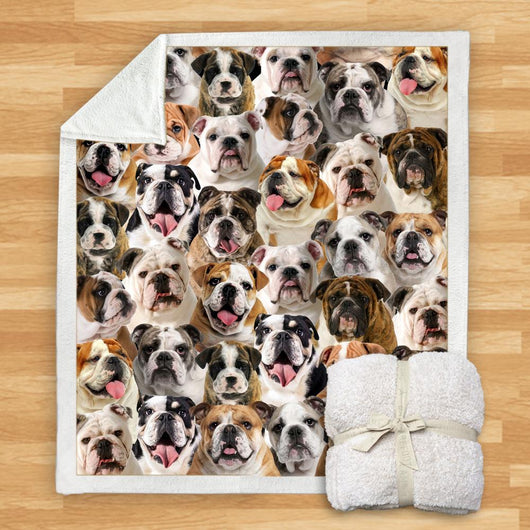Manta Franela Estampada para Perros - Image 33