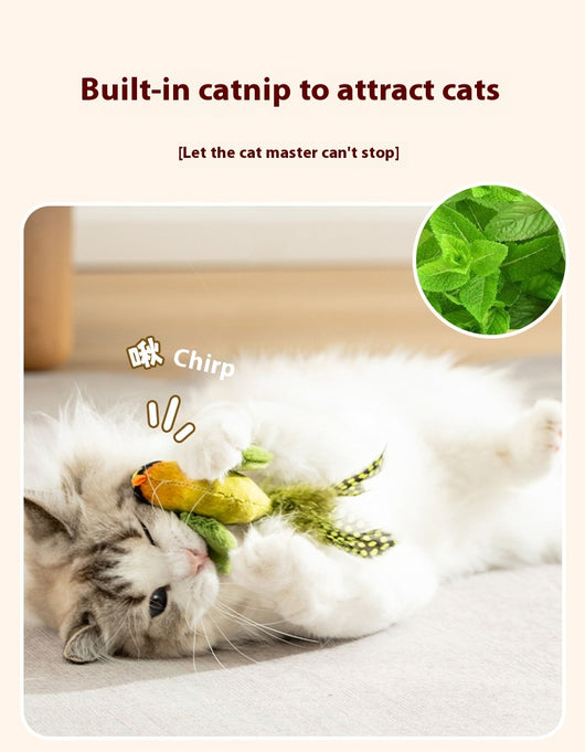 Plush bird cat toy with orange chest, grey body, feathered tail, and an elastic string for interactive play. - Image 18