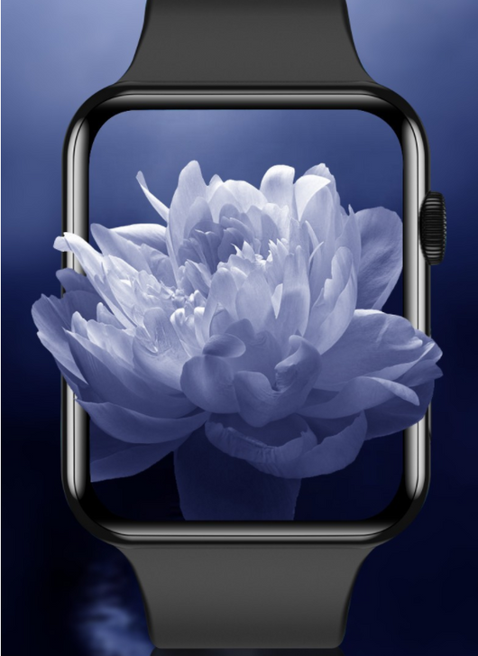 Protector de Pantalla Curvo Compatible con Apple Watch - Película Protectora Full Screen - Image 11