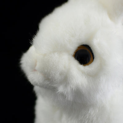 Peluche Conejo Realista de Simulación - Image 12