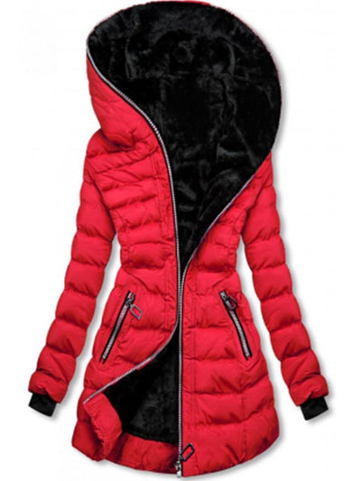 Chaqueta de Algodón Cálida con Capucha y Mangas Largas - Image 8