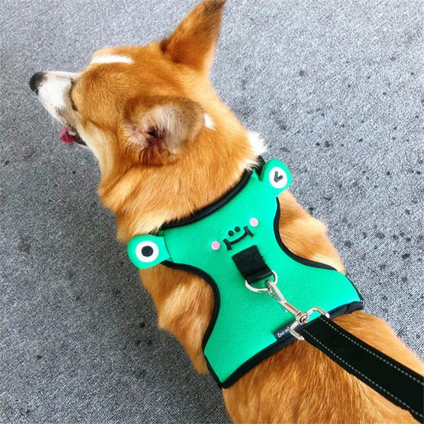 Arnés de Paseo para Perro Pequeño con Chaleco y Cuerda de Tracción