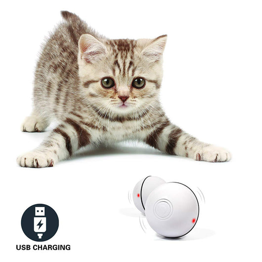 Blue LED Magic Ball pet toy for cats, packaged with batteries, measuring 6.4cm, on a white background. - Image 3