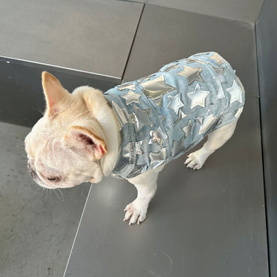 Chaleco Denim Fresco para Mascotas - Perros y Gatos Verano - Image 22