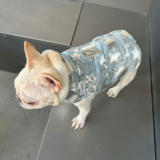 Chaleco Denim Fresco para Mascotas - Perros y Gatos Verano - Image 22