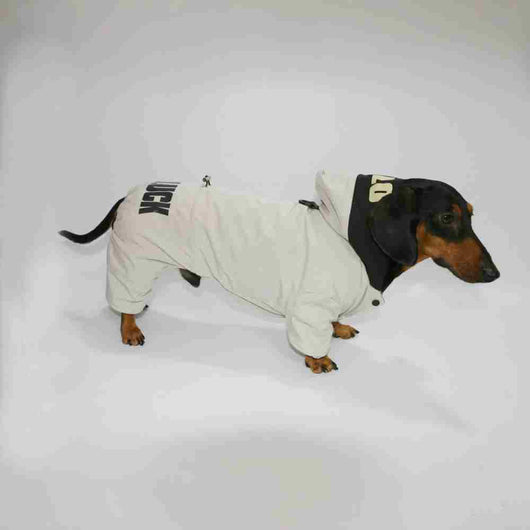 Abrigo Térmico para Mascotas - Ropa de Invierno para Perros y Gatos - Image 19