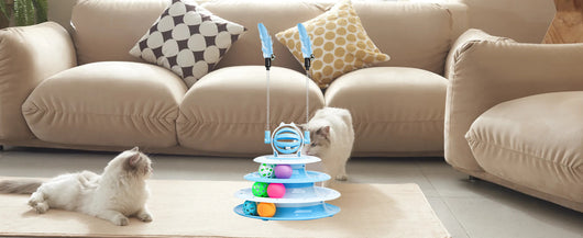 Juguetes Interactivos para Gatos - Set Completo de Entretenimiento Felino - Image 21