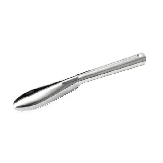 Raspador de Escamas de Pescado Acero Inoxidable - Image 2