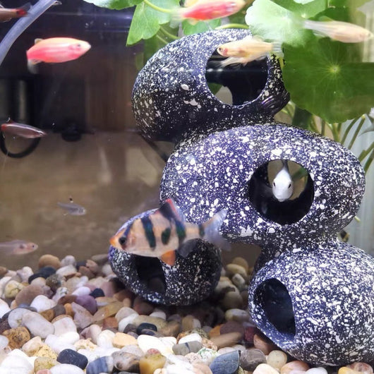 Casa de Piedra Natural para Peces y Camarones - Decoración y Refugio Acuático