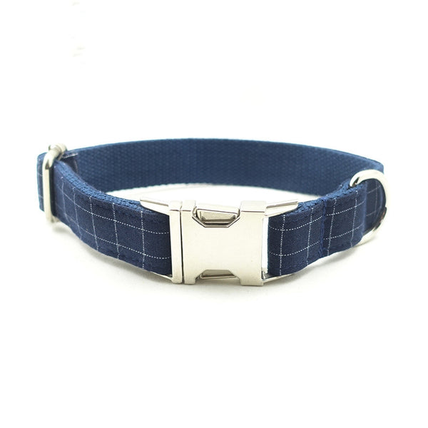 Collar de Tracción con Hebilla de Aleación de Alta Calidad