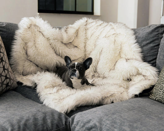 Cama Térmica Premium para Perros - Almohadilla Gruesa de Invierno - Image 27