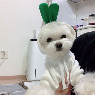 Ropa Adorable para Perros y Gatos - Chaleco de Algodón con Diseños Animados - Image 7